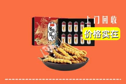 三明清流县回收冬虫夏草