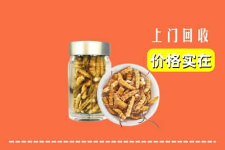 诚信求购:三明清流县高价回收散虫草