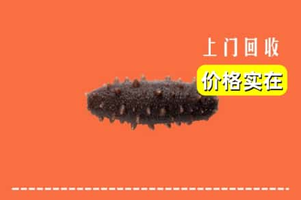 诚信求购:三明清流县高价回收海参