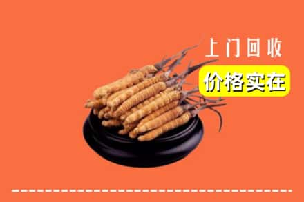 诚信求购:三明清流县高价回收冬虫夏草